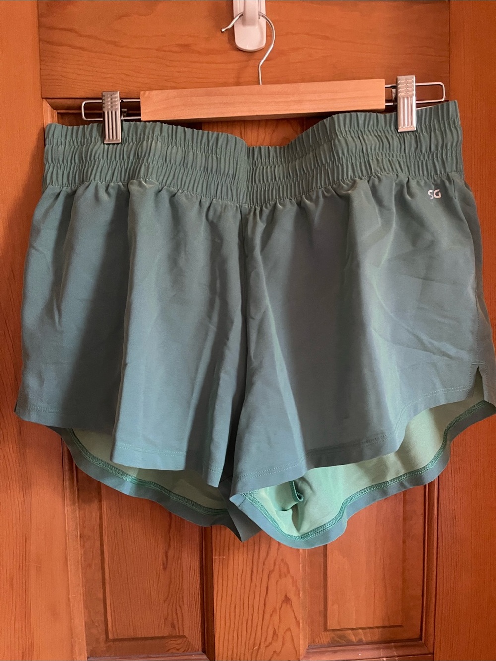 DSG Double-Layer Athletic Shorts in Sage Green